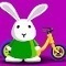Bunny Bloony 3 Racing