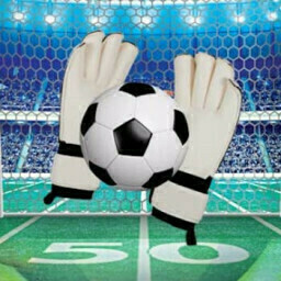 Expert Goalkeeper