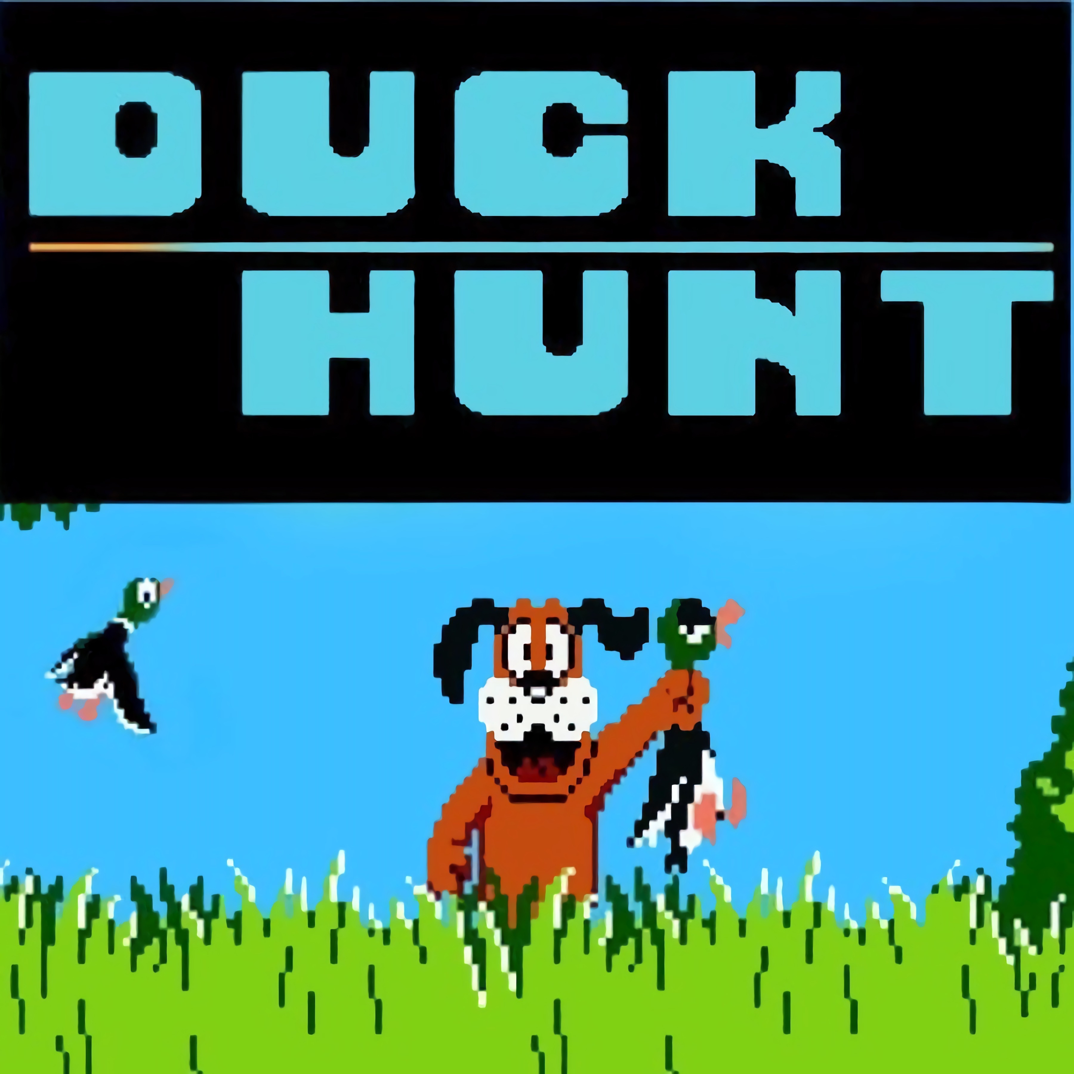 Duck Hunt