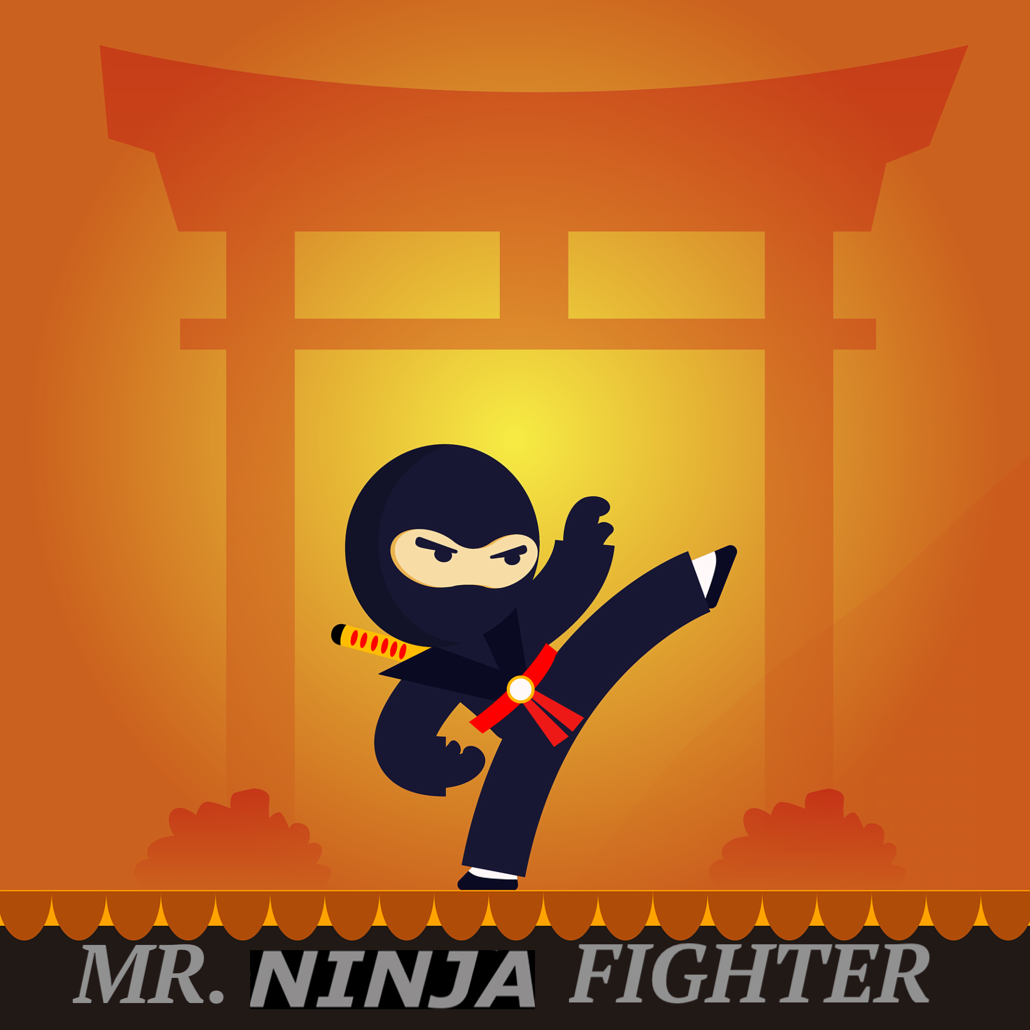 Mr Ninja Fighter