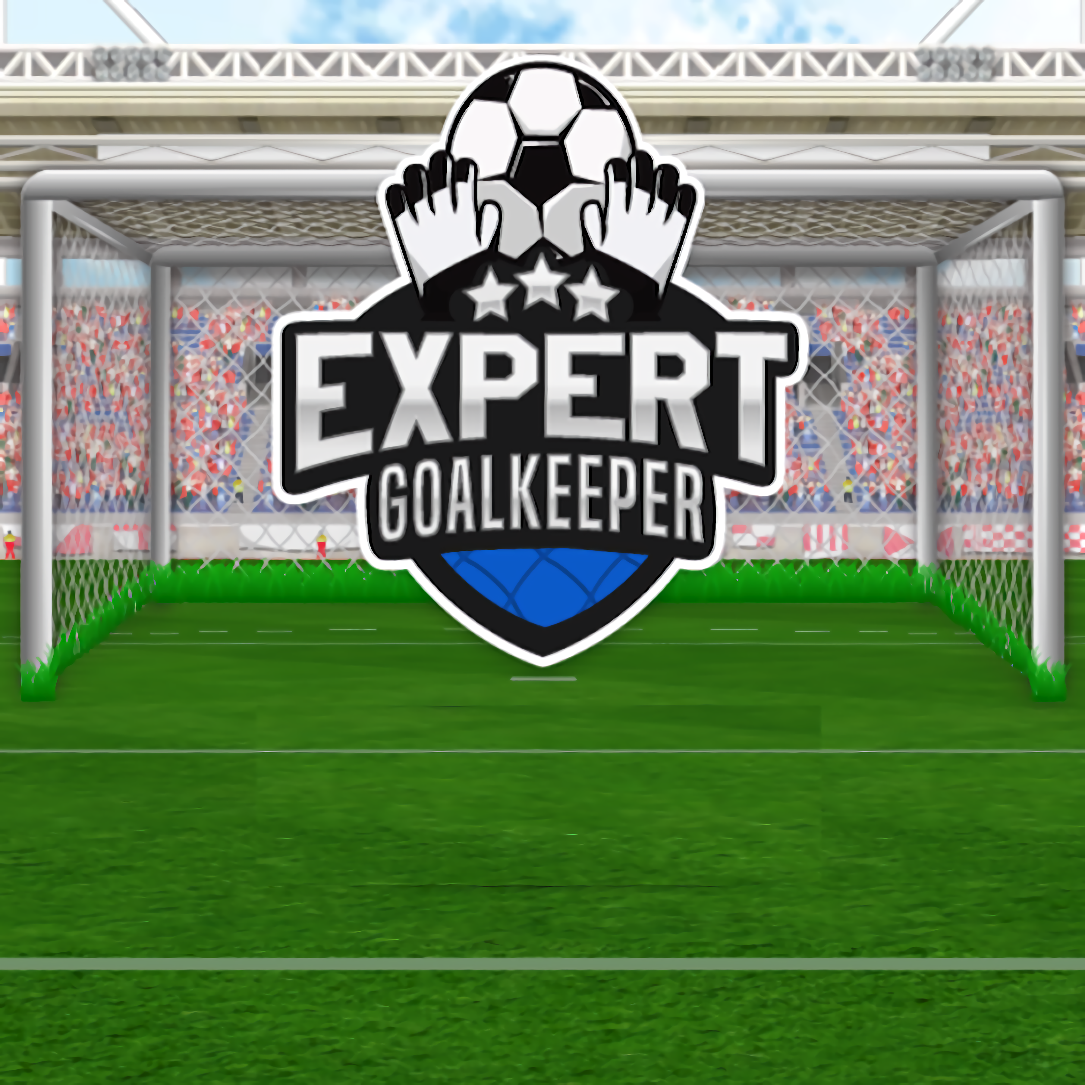 Expert Goalkeeper