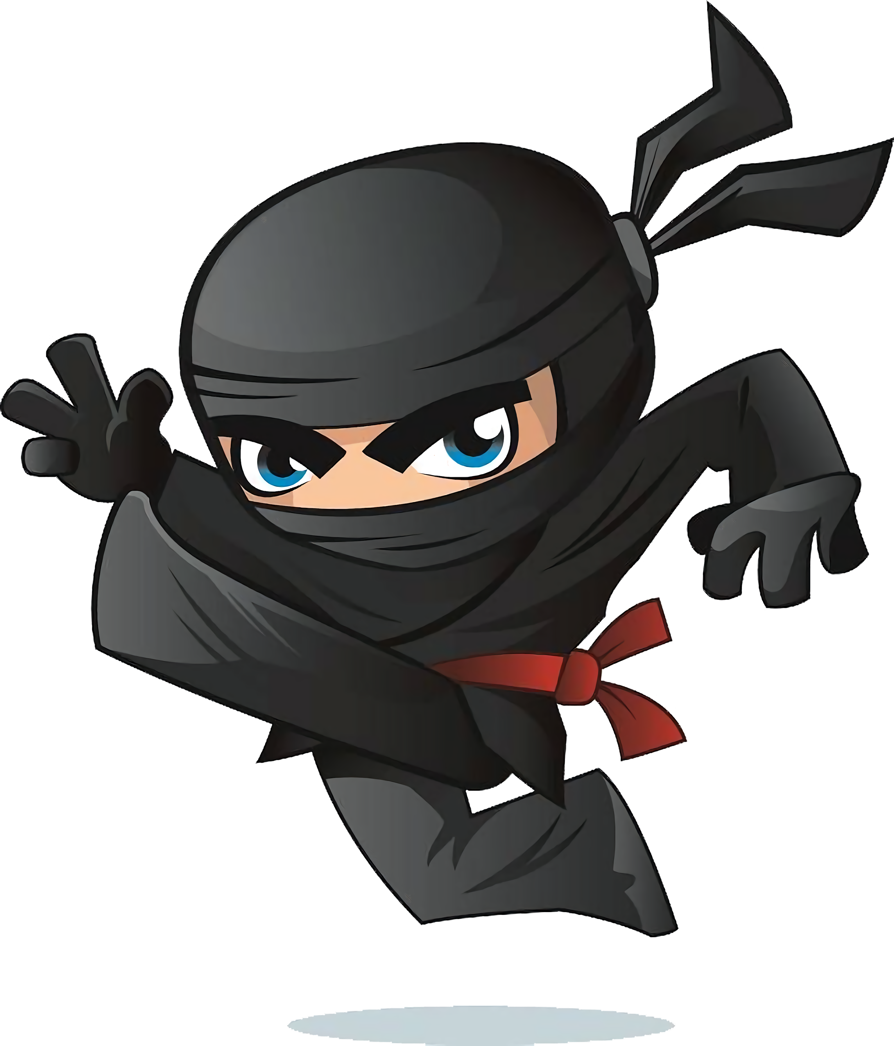 Ninja Games