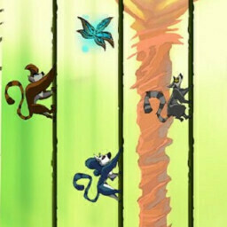 Monkeys Ropes Party