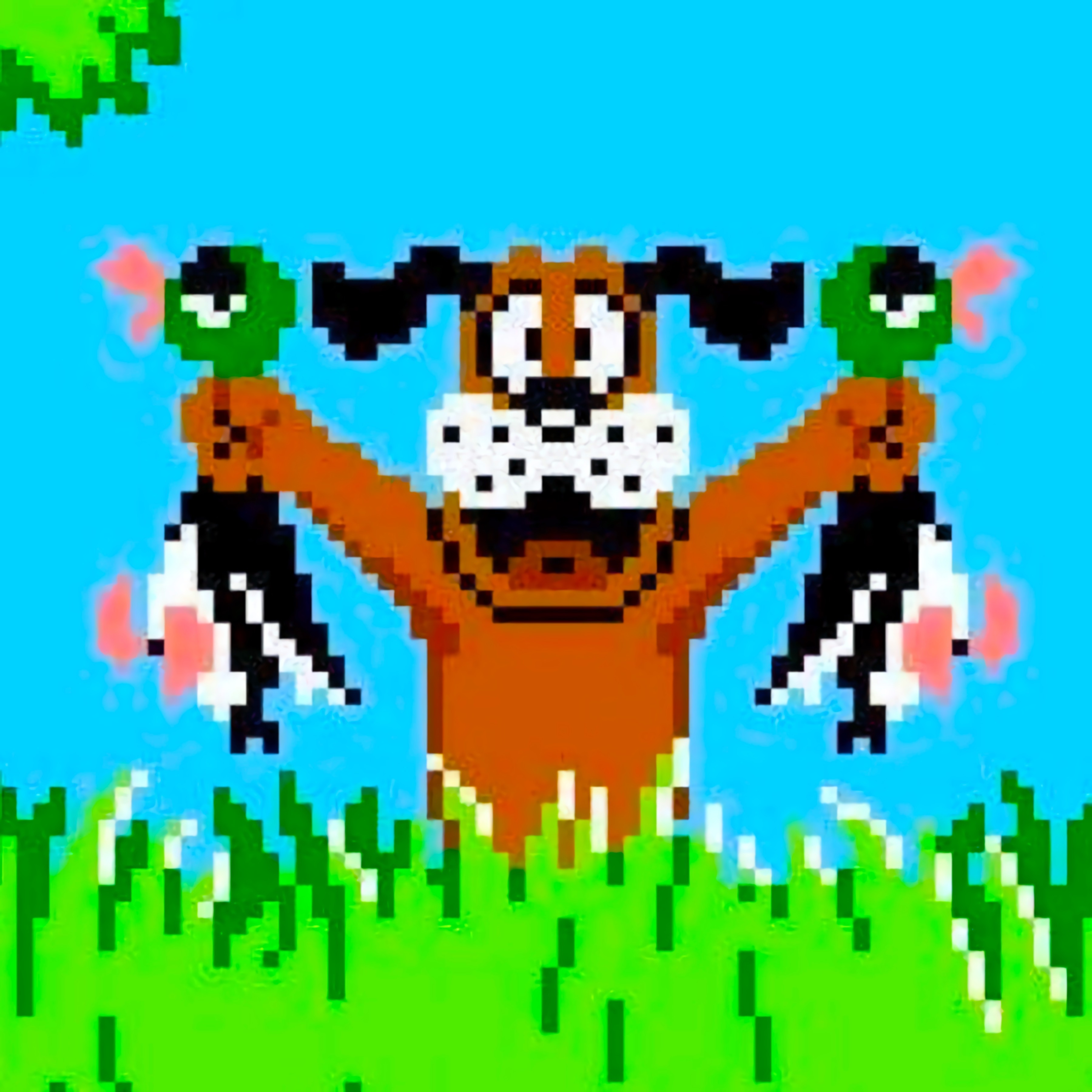 Duck Hunt