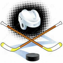 Hockey Challenge 3D