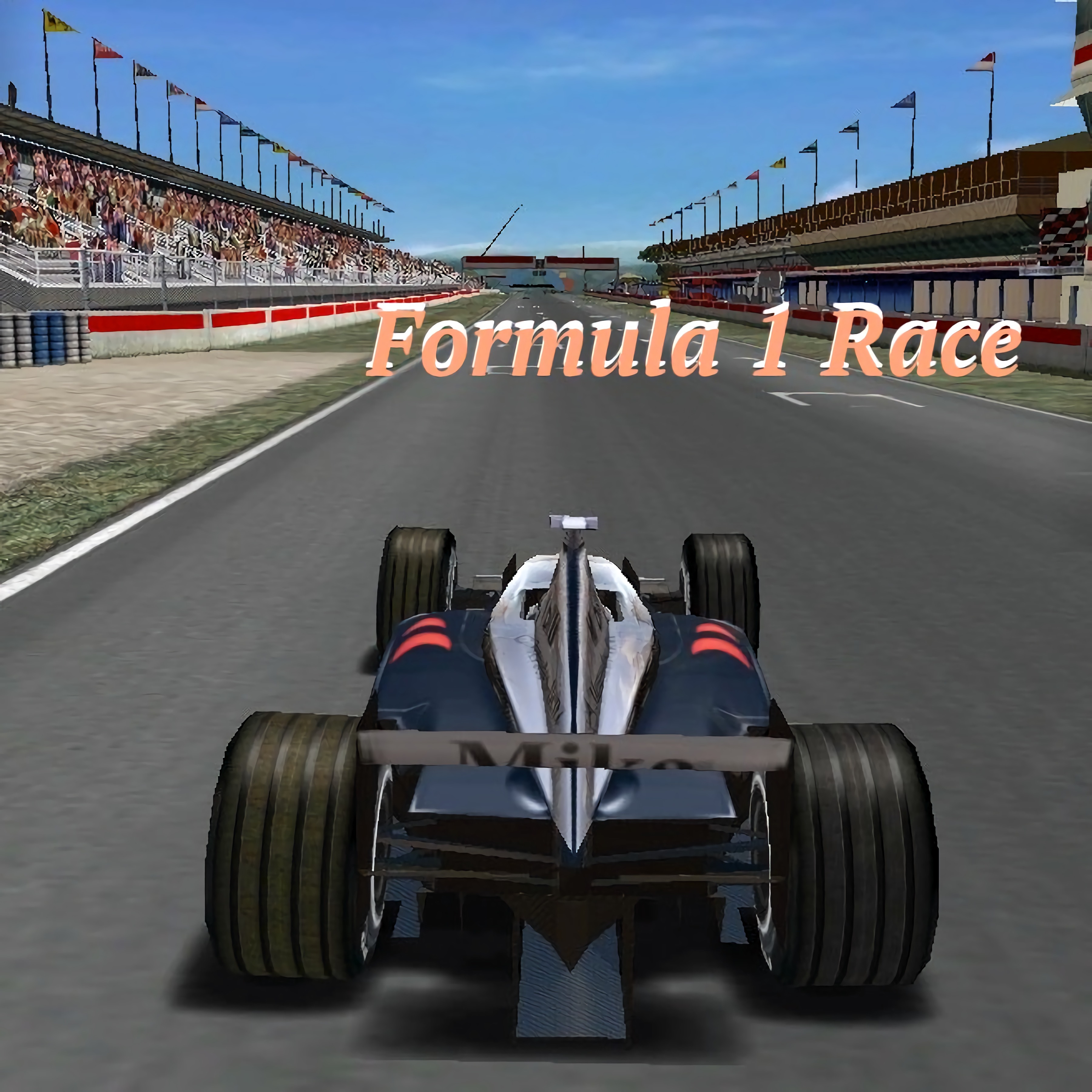 Formula 1 Race