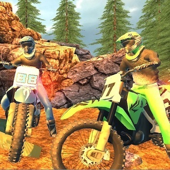 Offroad Motorcycle Bike Racing 2020