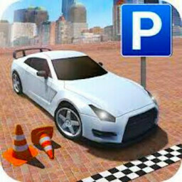 Realistic Sim Car Park