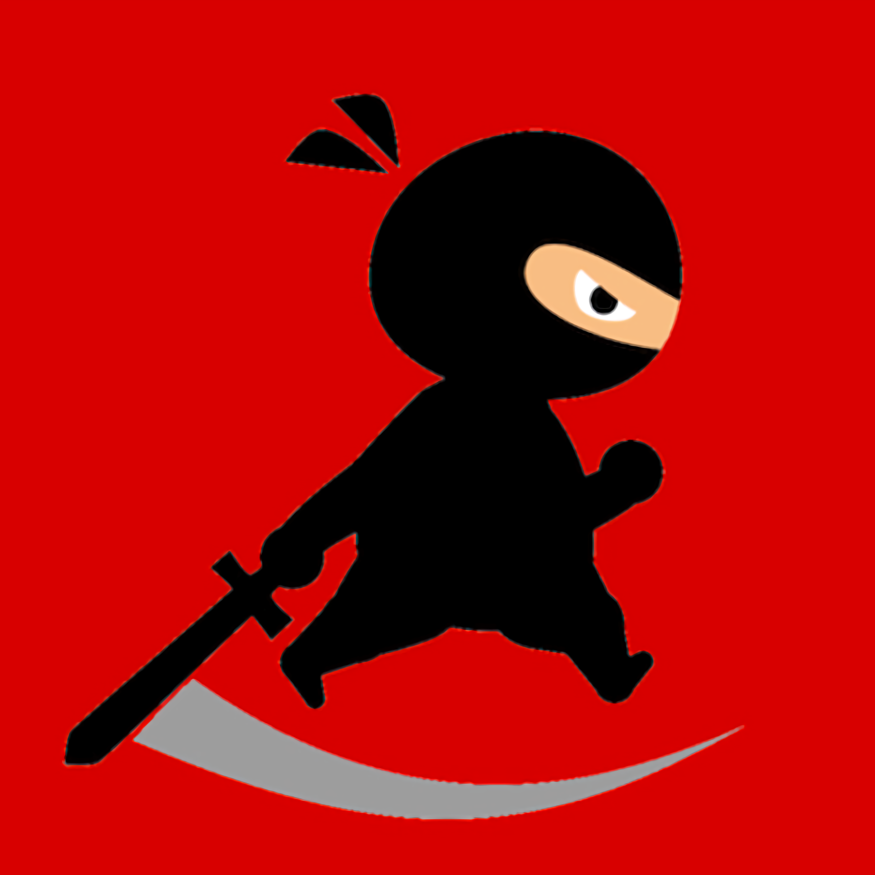 Mr Ninja Fighter