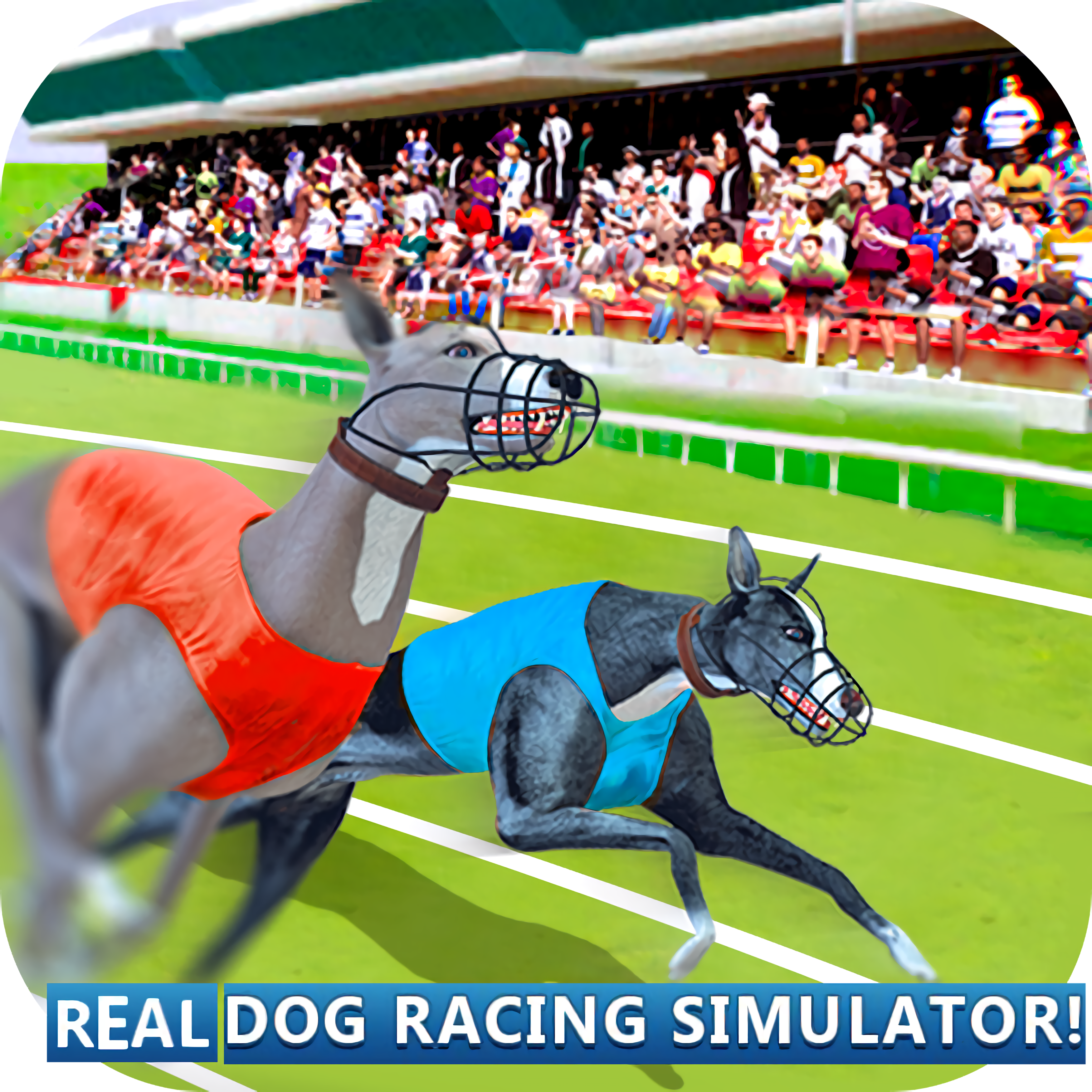 Real Dog Racing Simulator