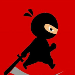 Mr Ninja Fighter